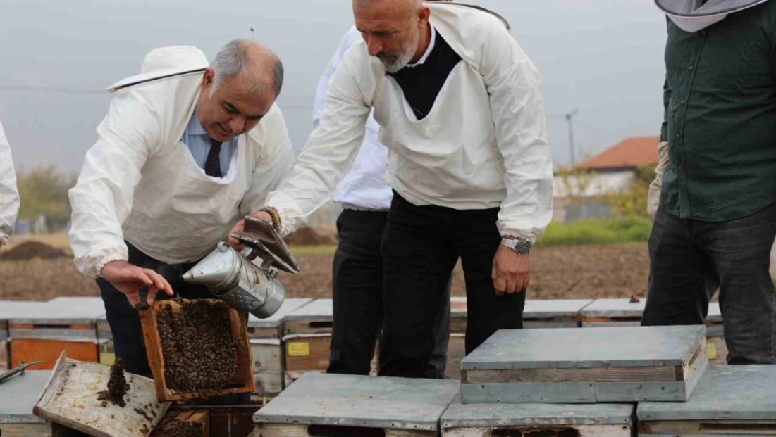 Elazığ arı kovanları incelendi