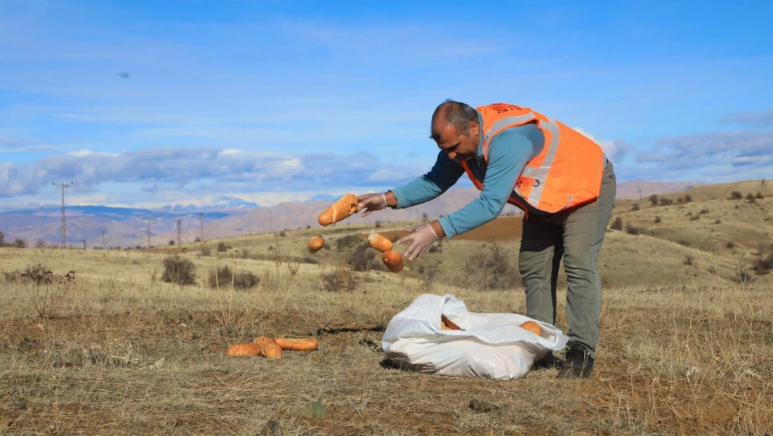 Elazığ Belediyesi Doğaya Yem Bıraktı