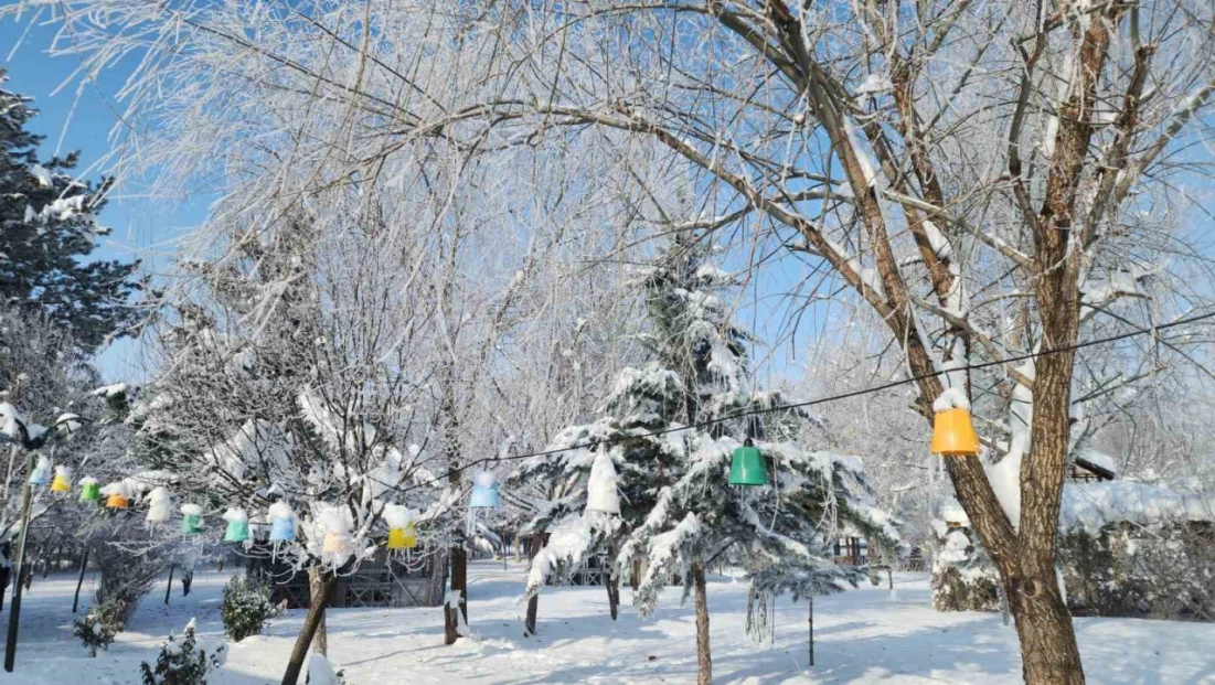 Elazığ'da dondurucu soğuklar: Karakoçan'da termometreler -22'yi gösterdi