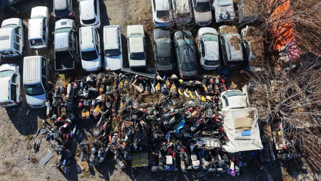 Elazığ'da yediemin otoparkında yosun tutan araçlar: 500 milyon TL'lik servet çürüyor