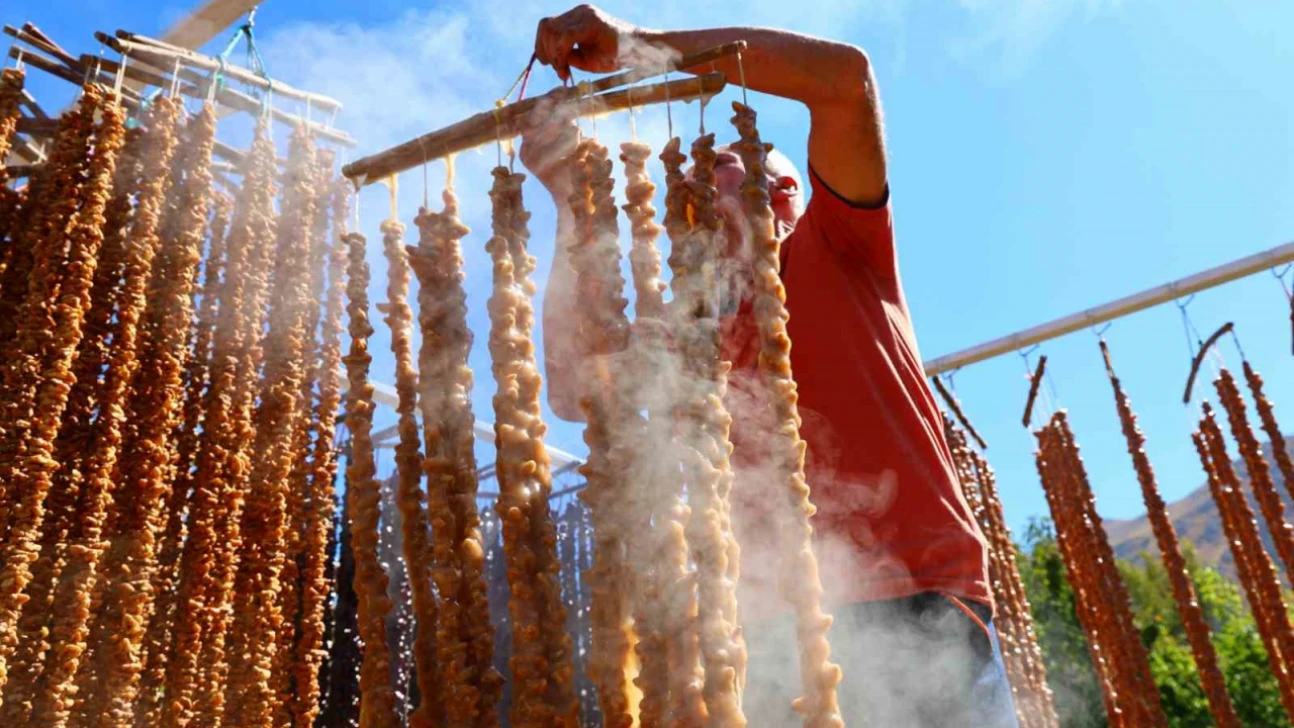 Kış sofralarının vazgeçilmezi: Orcik mesaisi başladı