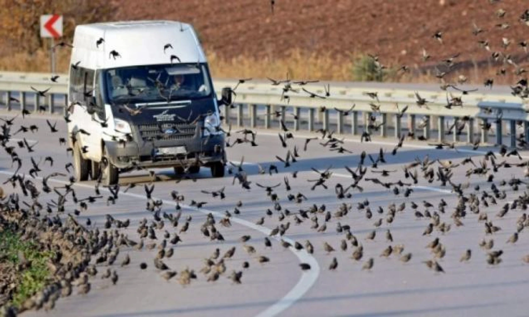İHA'nın 2016 yılının en iyi fotoğrafları