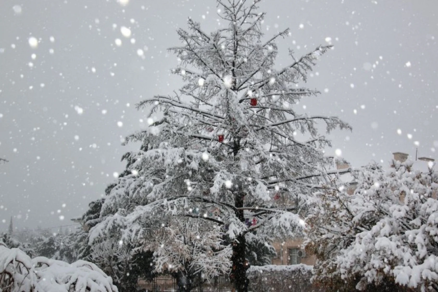 Elazığ'da Kış Görüntüleri