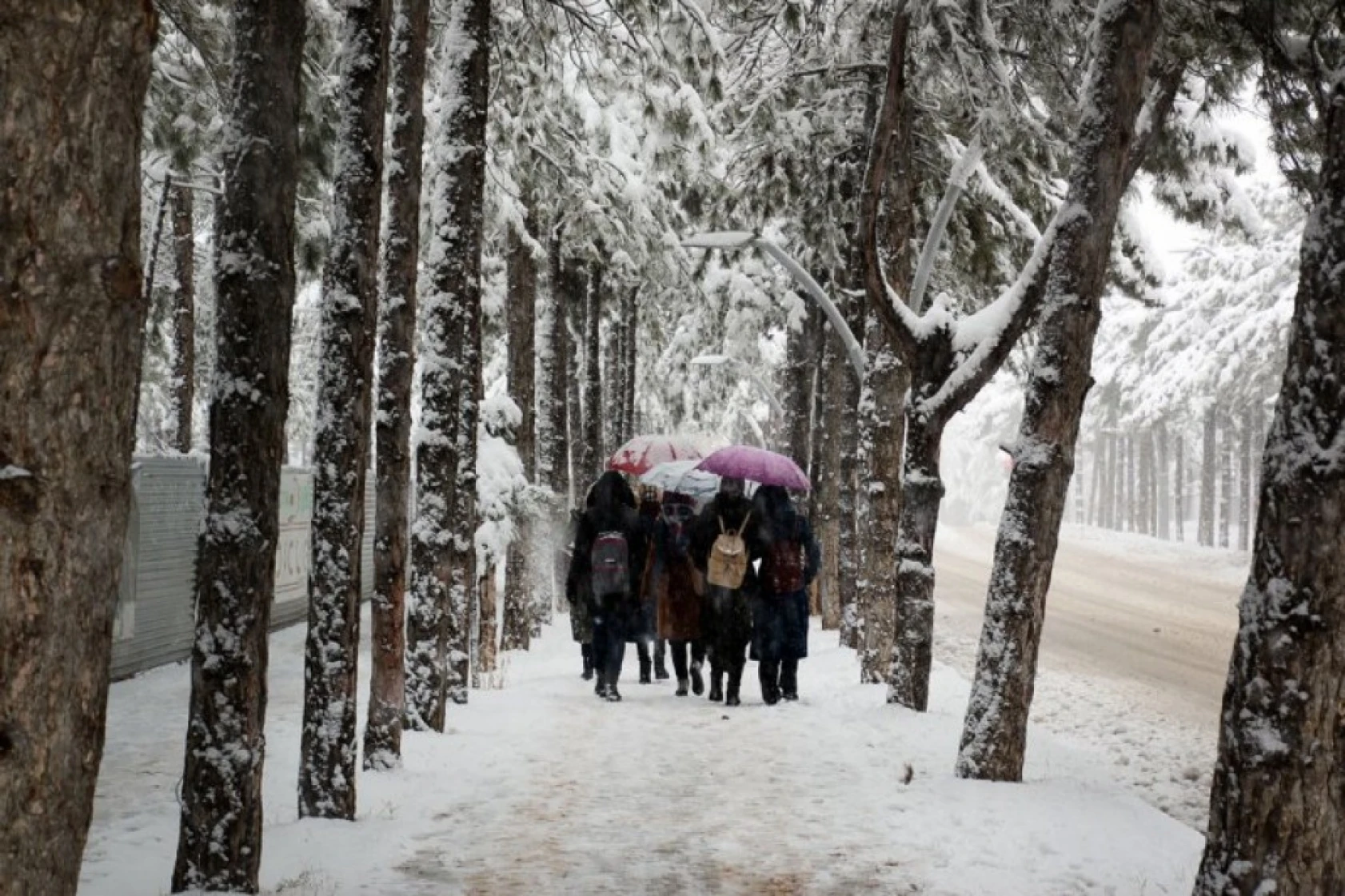 Elazığ'da Kış Görüntüleri