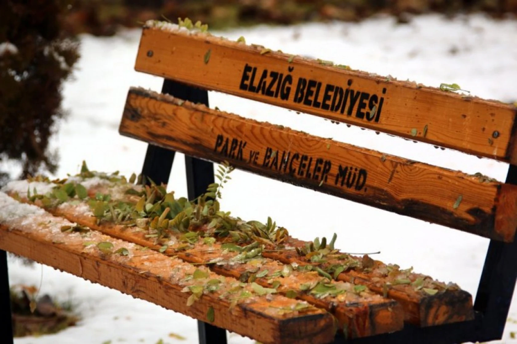 Elazığ'da Kış Görüntüleri