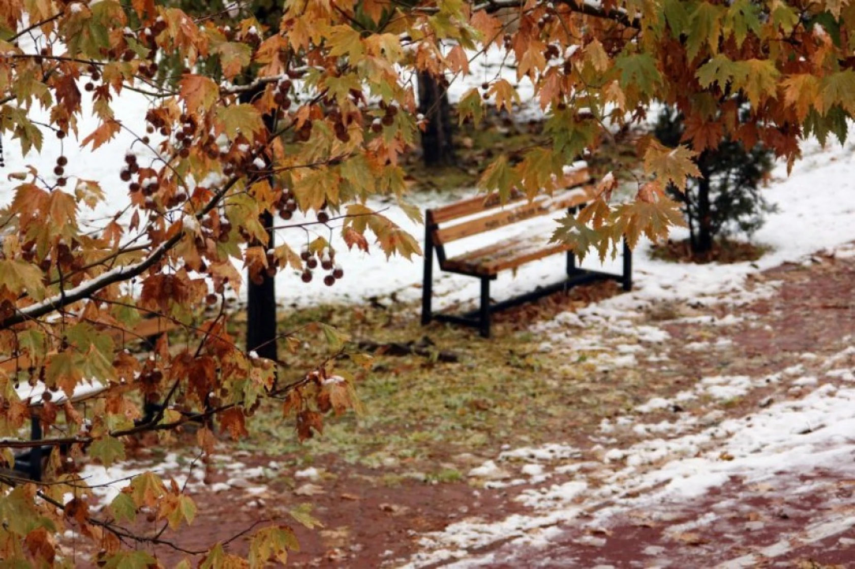 Elazığ'da Kış Görüntüleri