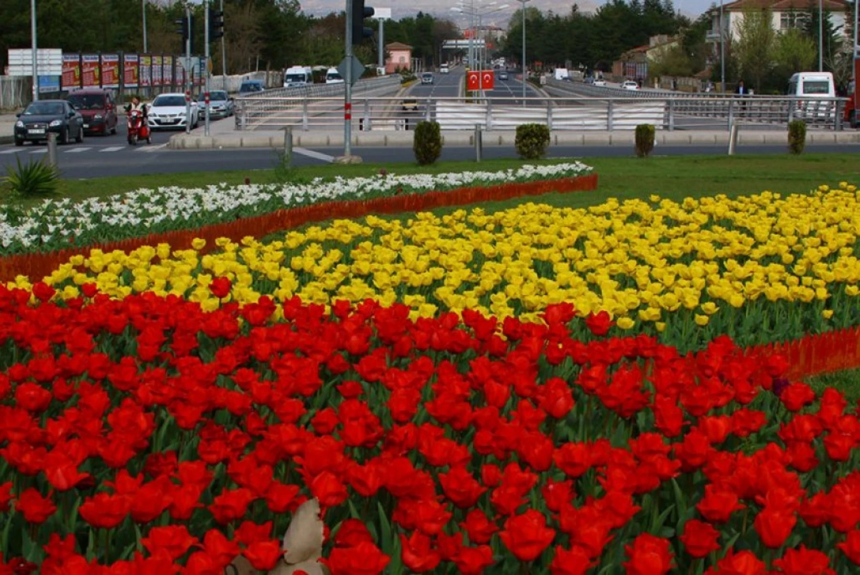 Elazığ'dan Görüntüler