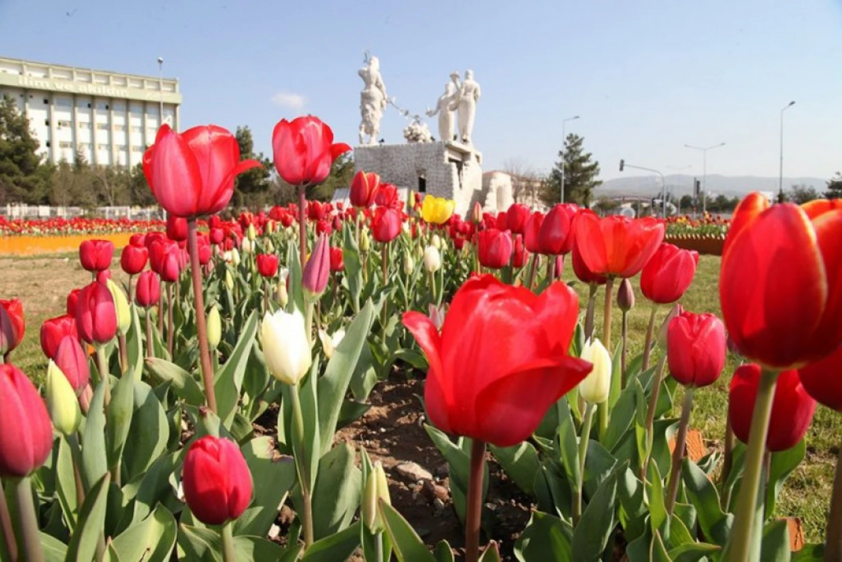 Elazığ'dan Görüntüler