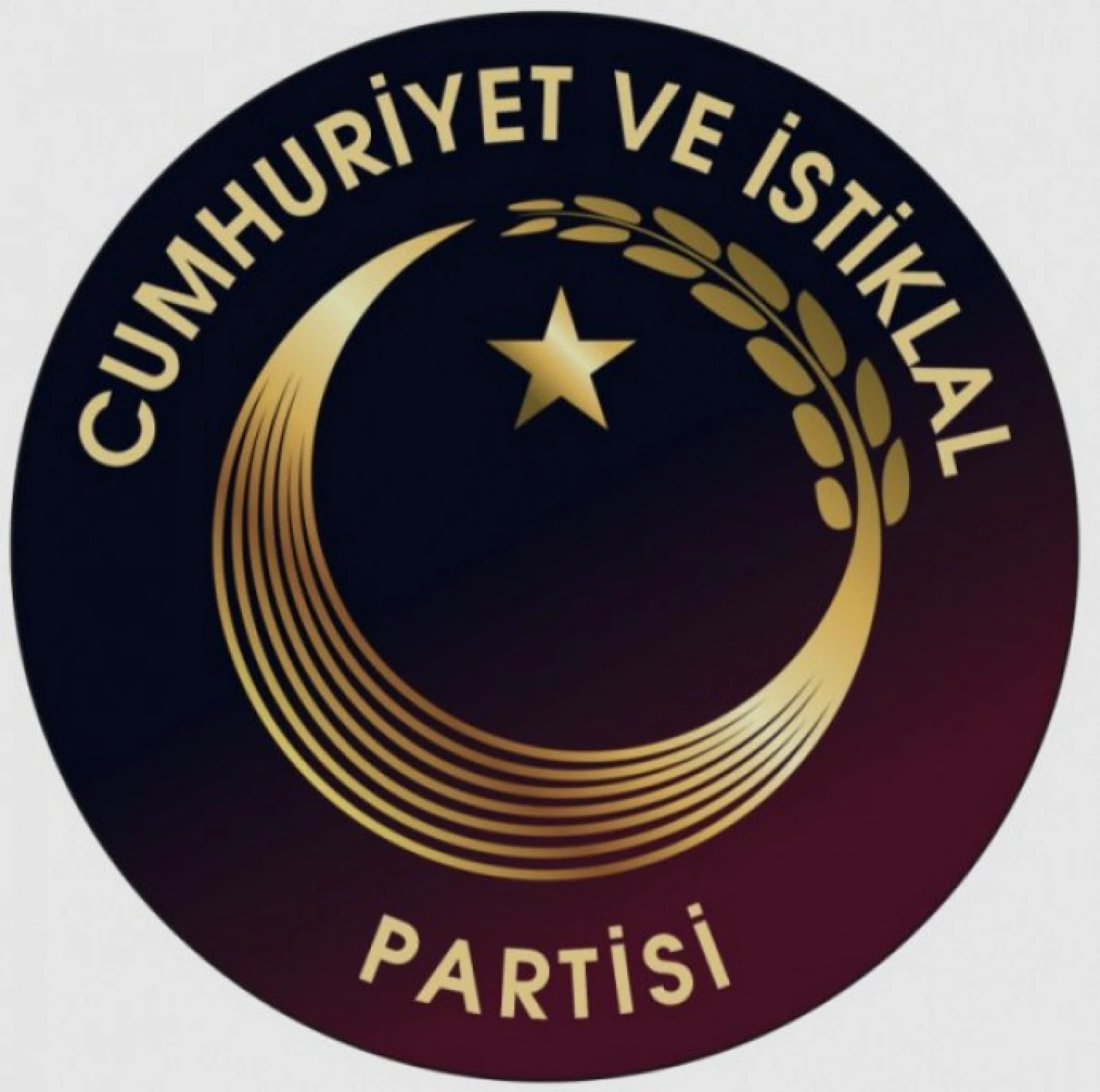 Son Yıllarda Türkiye'de Kurulan Siyasi Partiler