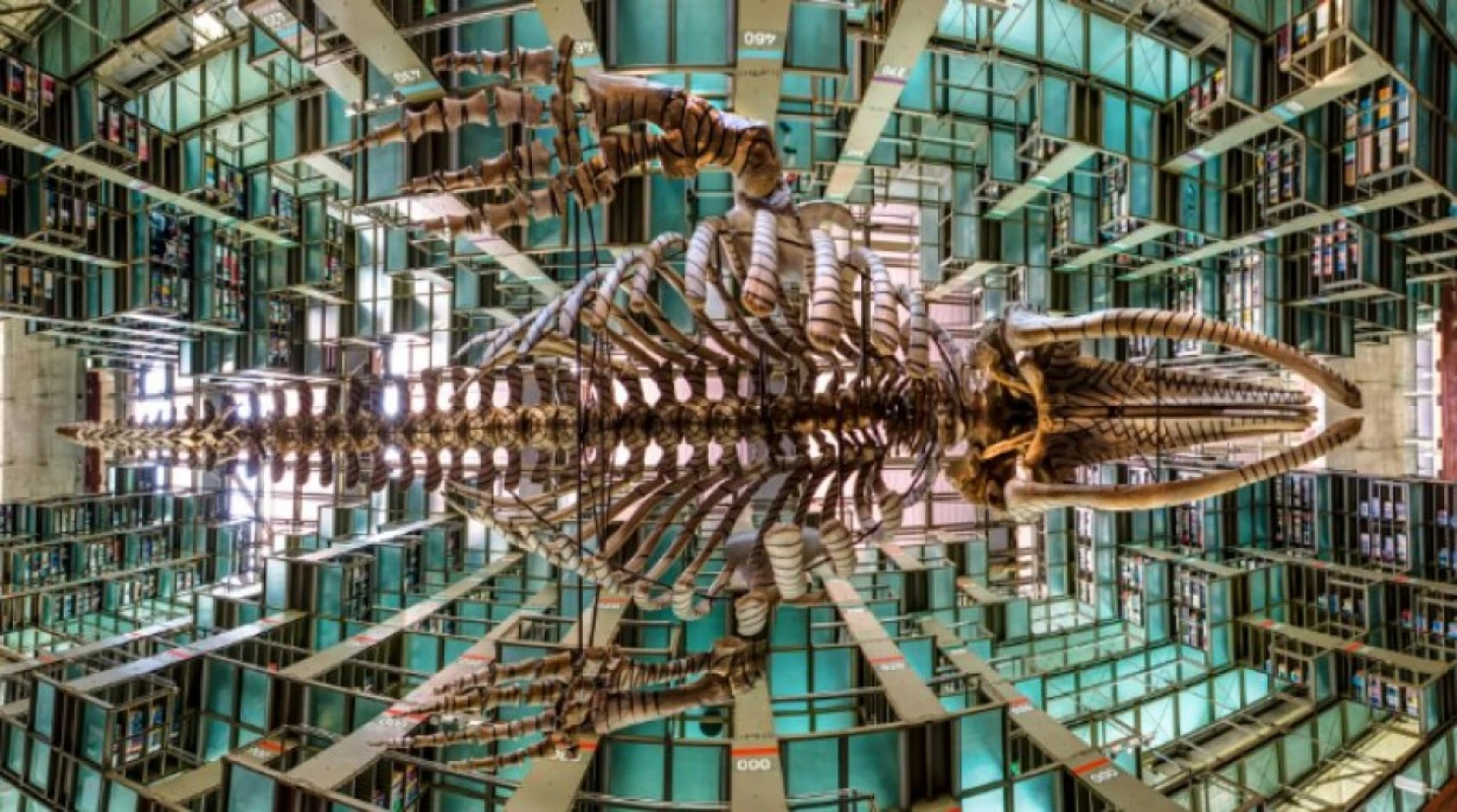 Dünyanın en önemli görkemli kütüphaneleri