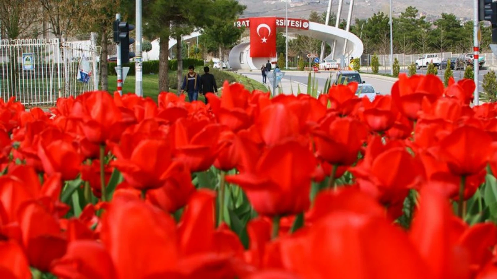 Elazığ'dan Görüntüler
