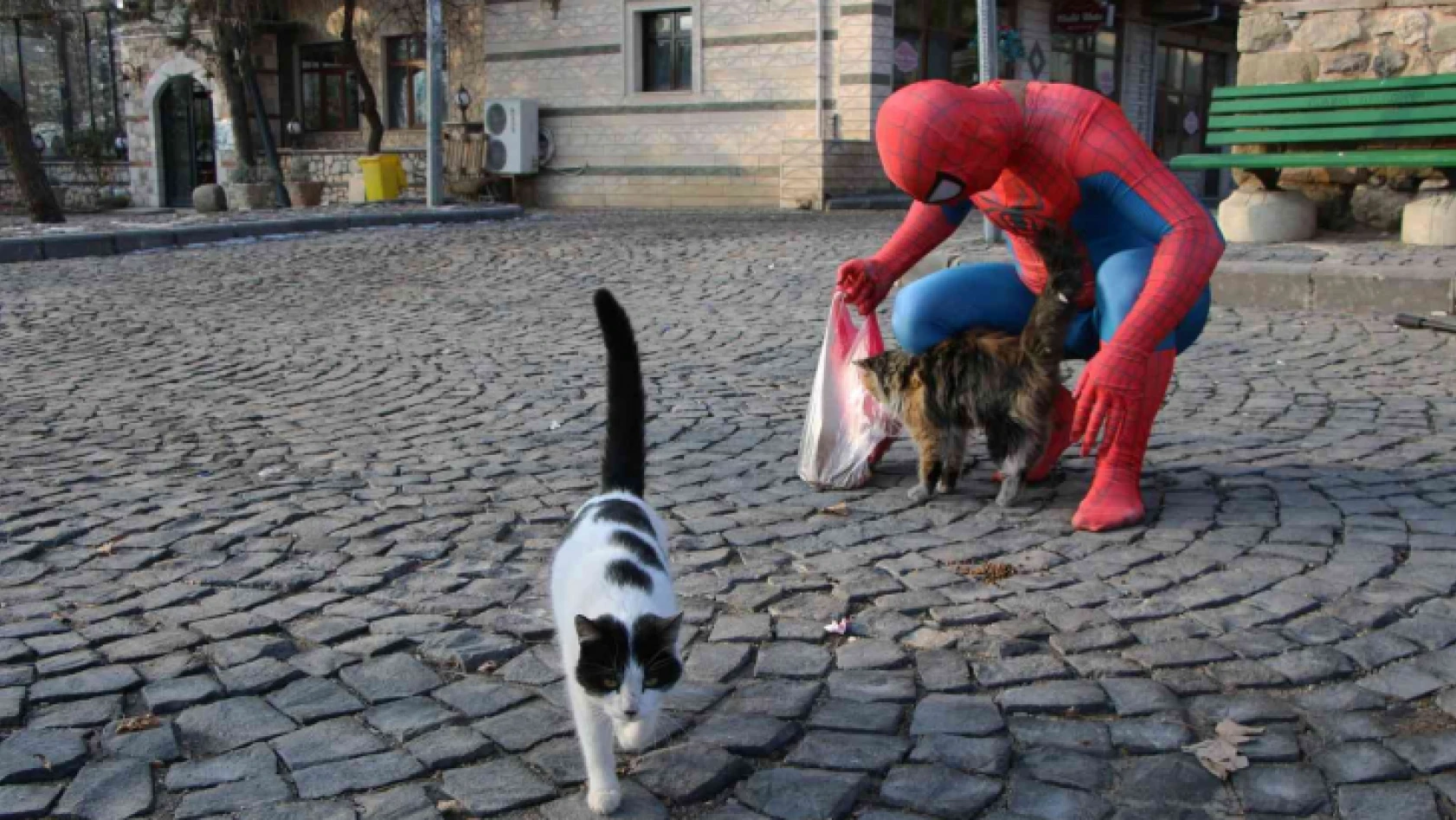 'Örümcek Adam'  sokak hayvanlarının kahramanı oldu, görenler şaşkınlığını gizleyemedi