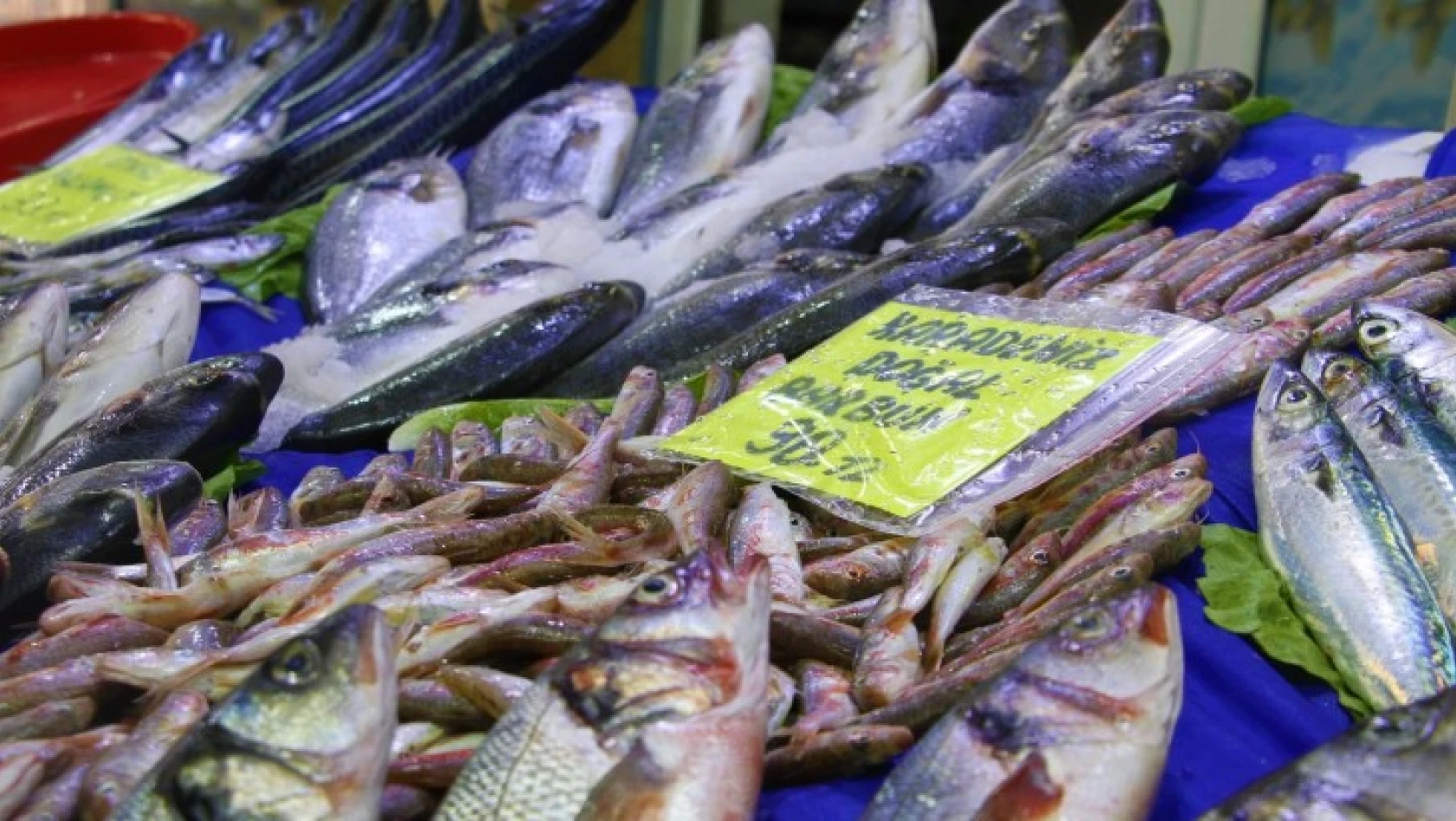 Av sezonu açıldı, yarımada konumundaki Elazığ'da balıklar tezgahlardaki yerini aldı