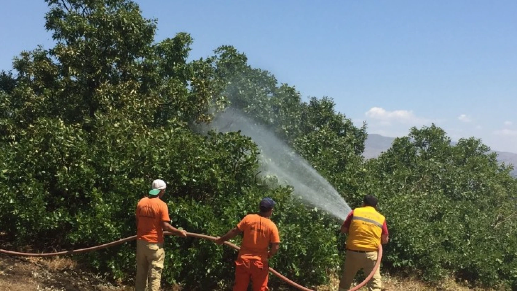 Bingöl'deki Orman Yangını Söndürüldü, Soğutma Çalışmaları Sürüyor