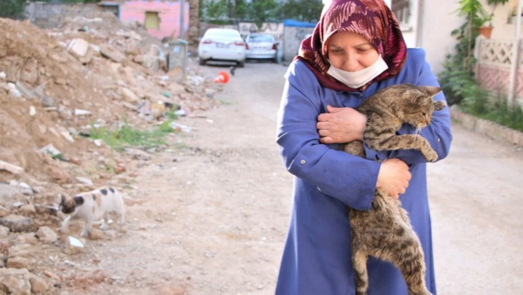 35 Kediye Anne Şefkatiyle Bakıyor