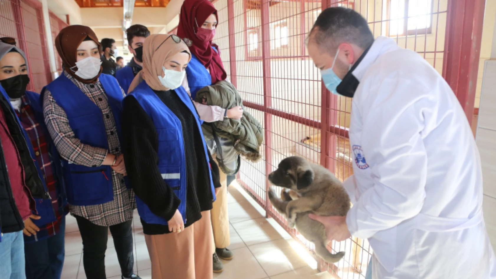 Elazığ Belediyesi Gençlik Meclisi Üyeleri, Geçici Hayvan Bakımevi Rehabilitasyon Merkezi'ni Ziyaret Ettiler