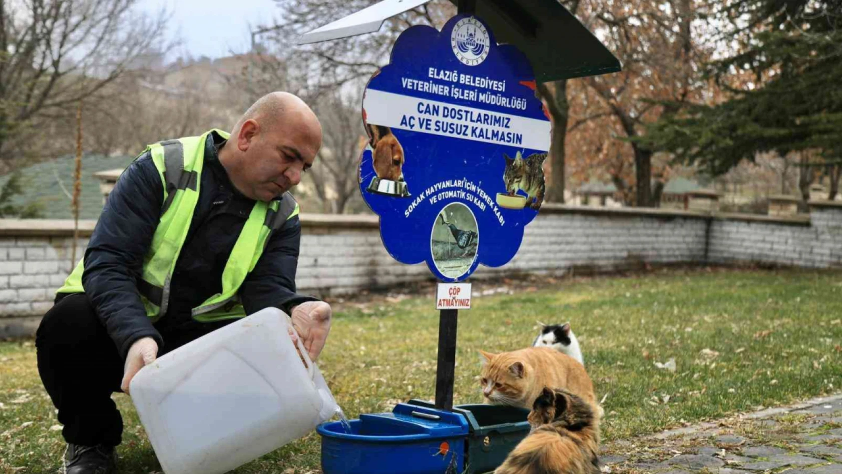 Elazığ Belediyesi, sokak hayvanlarını yalnız bırakmıyor