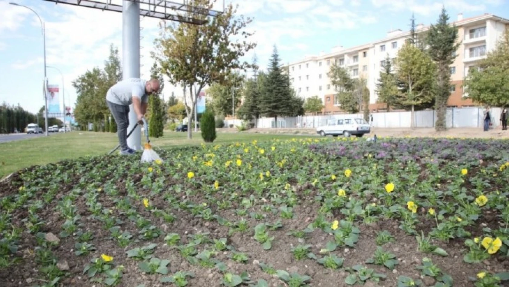 Elazığ Belediyesinden mevsimlik çiçek dikimi