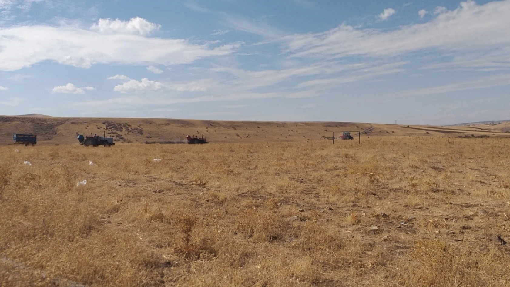 Elazığ'da 136 bin dekar alanda mera ıslah çalışmaları tamamlandı