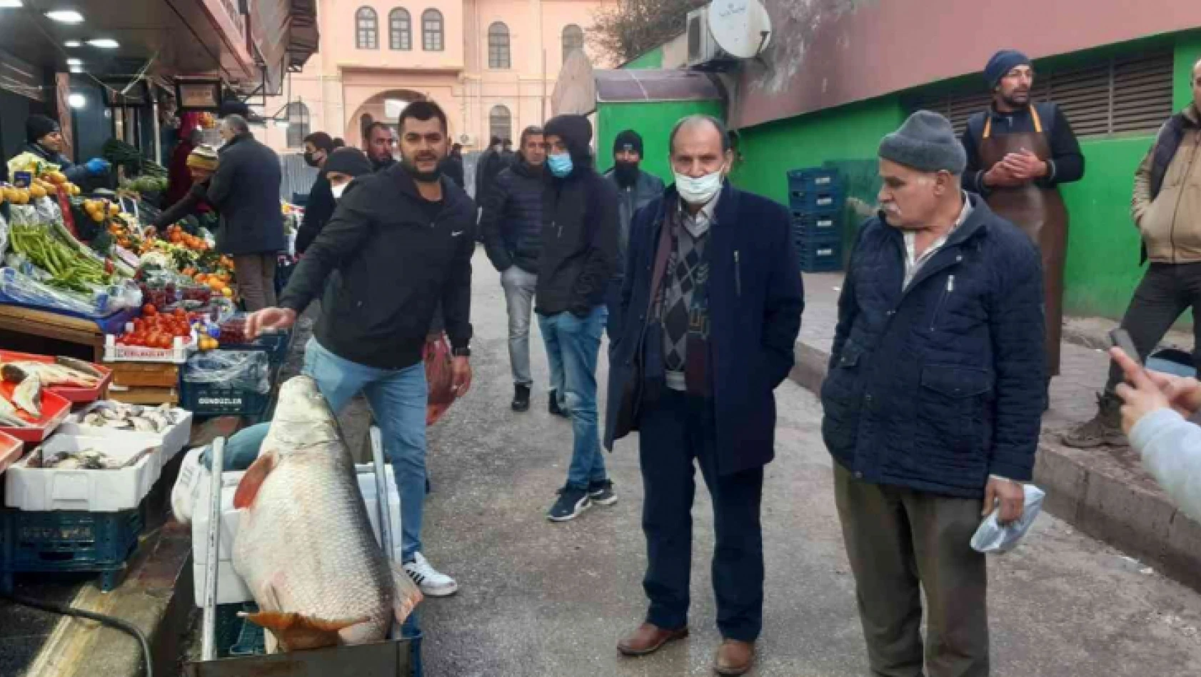 Elazığ'da 60 kiloluk dev turna balığı yakalandı