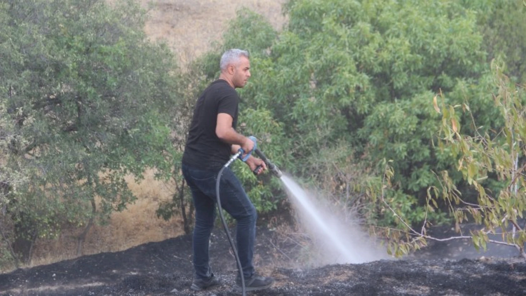 Elazığ'da bahçe yangınında 20 dönüm alan zarar gördü