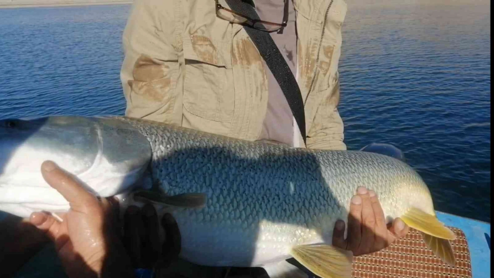 Elazığ'da balıkçı, yarım saatlik mücadelenin ardından dev turnayı olta ile tuttu