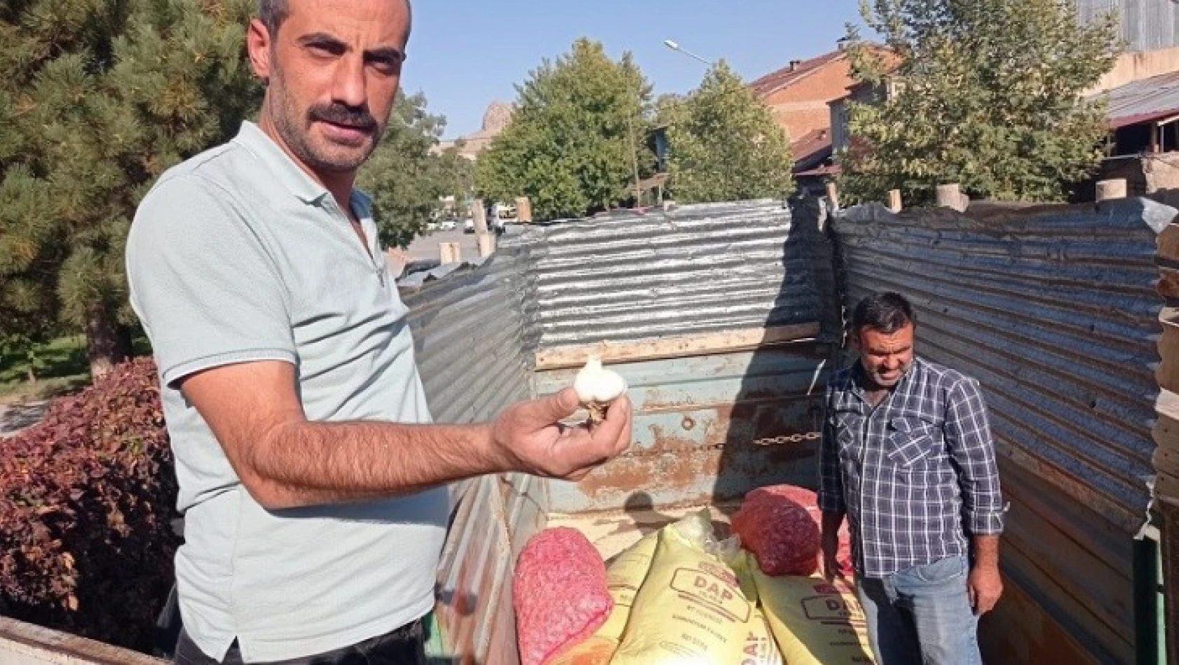Elazığ'da çiftçilere yüzde 75 hibeli sarımsak tohumu dağıtıldı