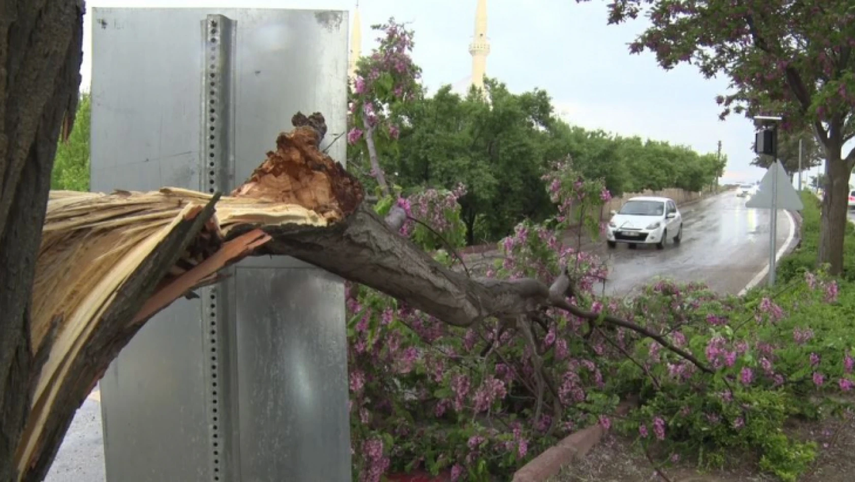 Elazığ'da fırtına sonrası çatılar uçtu, ağaçlar devrildi