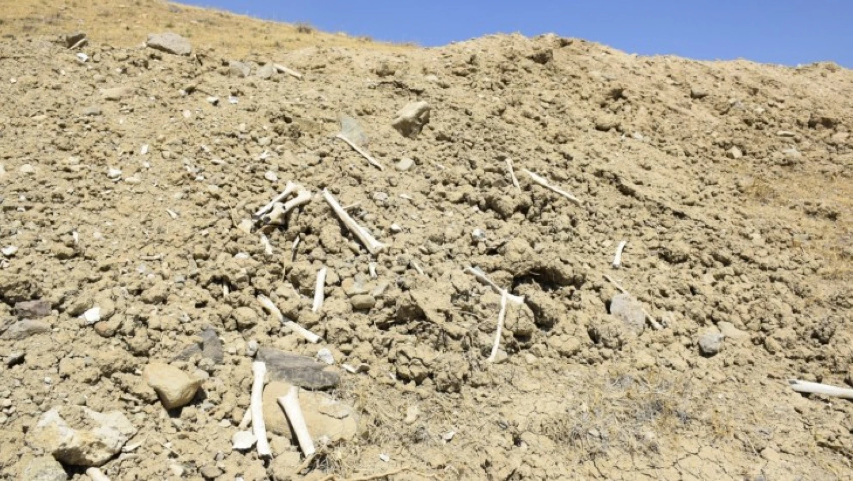Elazığ'da içme suyu yolu mezarlık içinden geçince, kemikler etrafa saçıldı