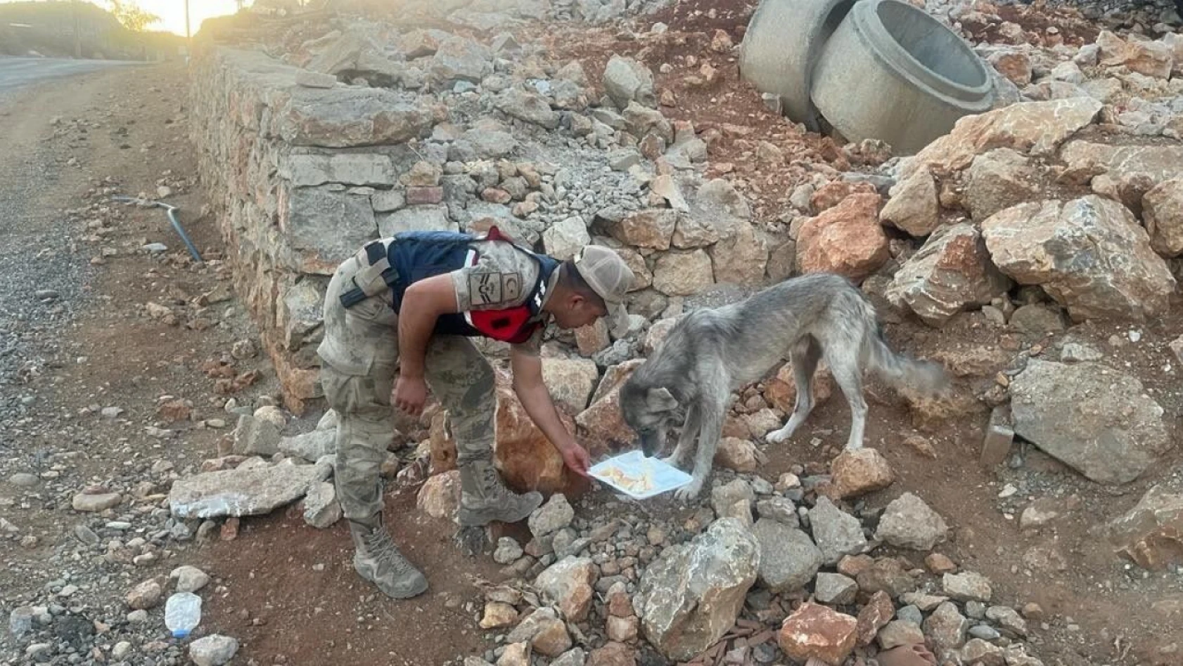 Elazığ'da jandarmadan 4 Ekim Dünya Hayvanları Koruma Günü etkinliği