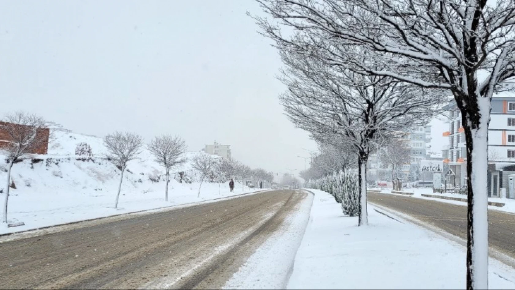Elazığ'da kar yeniden başladı