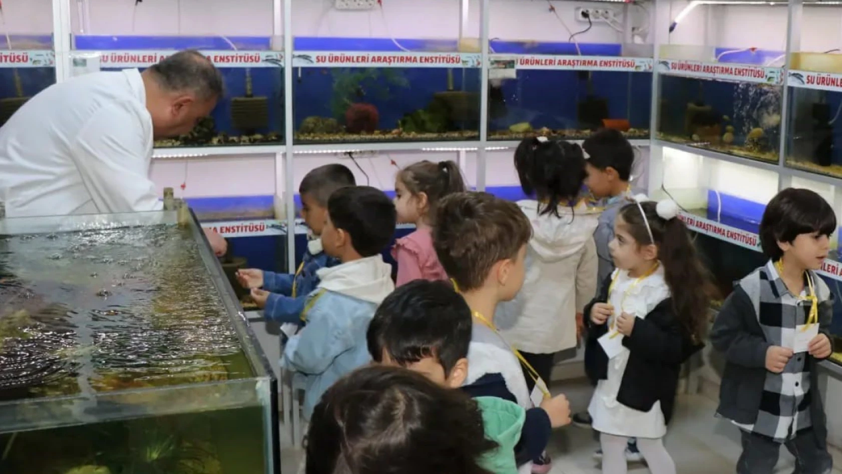 Elazığ'da öğrenciler balık müzesini gezdi