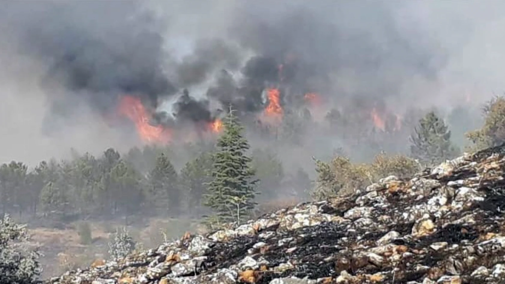 Elazığ'da orman yangınına müdahale sürüyor