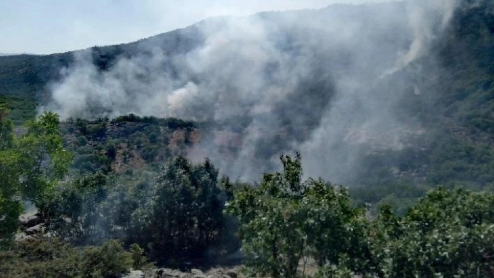 Elazığ-Diyarbakır arasında orman yangını söndürme çalışmaları sürüyor