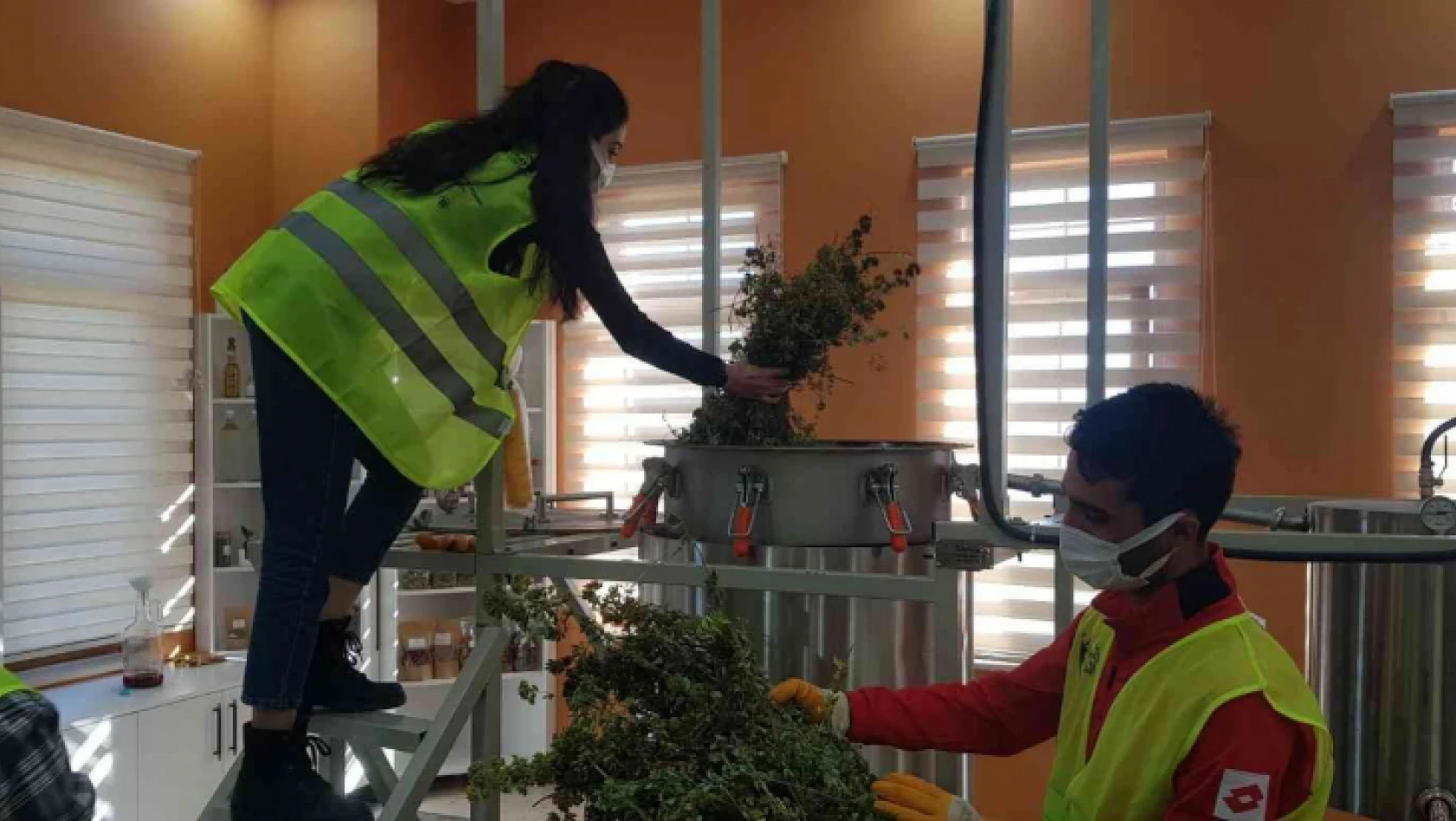 Gençlerin ürettiği bitki çayı ve sebze tohumları, Cumhurbaşkanı Erdoğan'a gönderiliyor