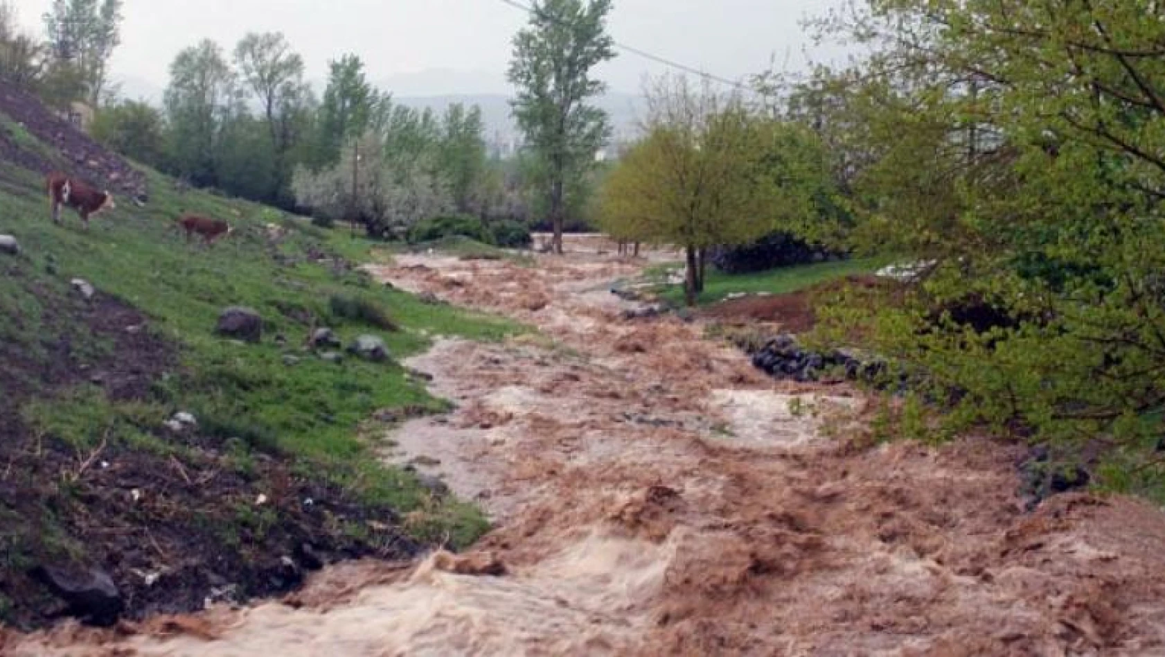 Karakoçan Köylerini Sel Vurdu