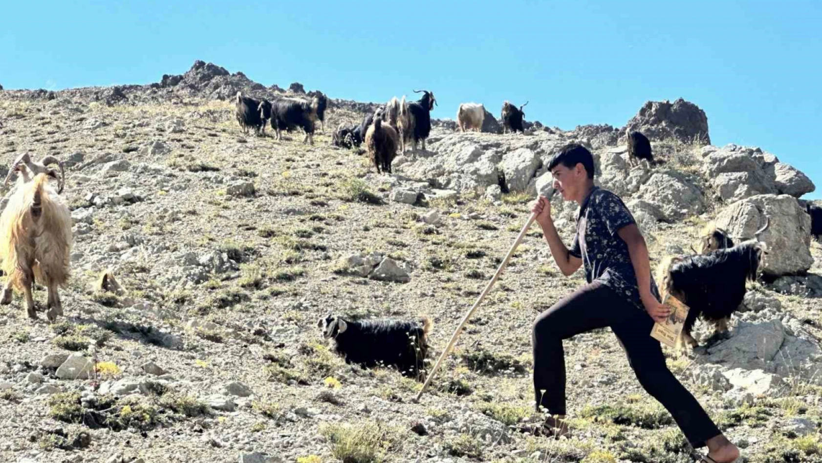 Yaylada çobanlık yapan Muhammet, LGS'de Türkiye ikincisi oldu