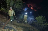 Ahır ve samanlıkta çıkan yangın ormanlık alana sıçradı, müdahale sürüyor