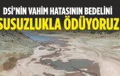 Dsi'nin Vahim Hatasının Bedelini Susuzlukla Ödüyoruz