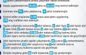 Elazığ'da 1 haftada 228 olay meydana geldi, 220 şahıs yakalandı