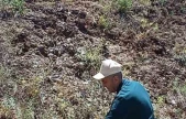 Elazığ'da ada çayı izleme çalışması yapıldı