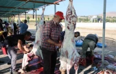 Elazığ'da bayram namazını kılan vatandaşlar, kurbanlarını kesti