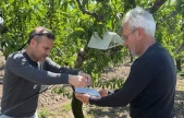 Elazığ'da şeftali güvesine karşı feromon tuzak