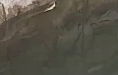 Elazığ'da yılanın balık avı kamerada