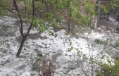 Elazığ'ı dolu vurdu