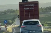 Kamyonun üzerinde tehlikeli yolculuk kamerada