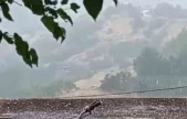 Karakoçan'da dolu yağışı