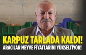 Karpuz Tarlada Kaldı ! Aracılar Meyve Fiyatlarını Yükseltiyor!