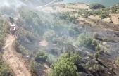 Ormanlık alanda çıkan yangın büyümeden söndürüldü