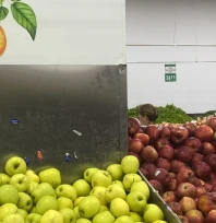 Elazığlı Vatandaş Kıbrıs'taki Fiyatları Görünce Şaşırdı, 'Memleketimizin Kıymetini Bilelim' Dedi